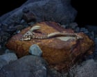 Psychedelic rock! Formations that mess with your mind – in pictures