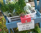 The magic of samphire season: Jimi Famurewa’s recipe for mackerel, chorizo, new potato and samphire